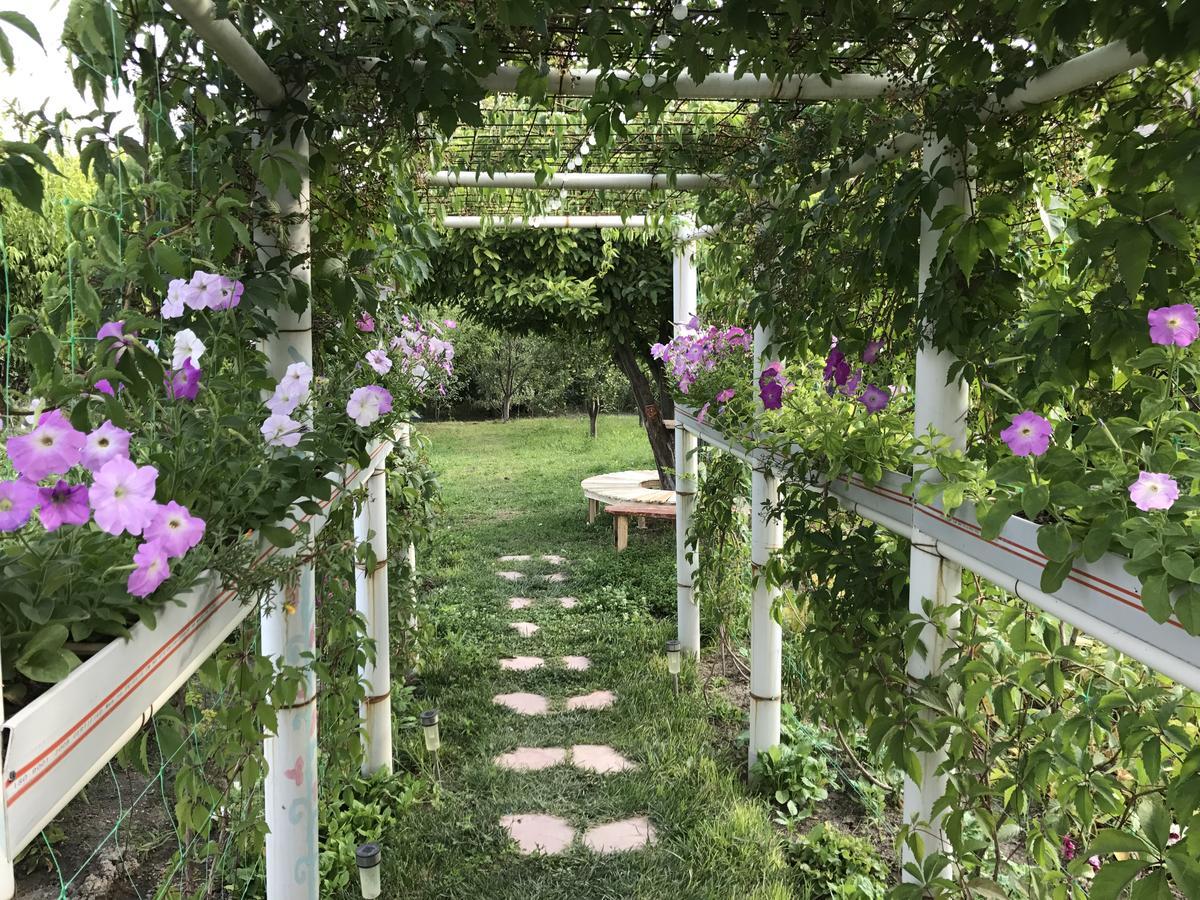 Ashot&Gohar B&B Chʼiva Exteriör bild
