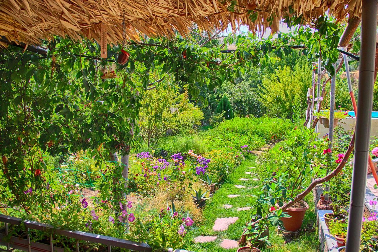 Ashot&Gohar B&B Chʼiva Exteriör bild